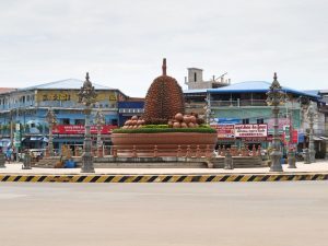 Durian Roundabout in Kampot